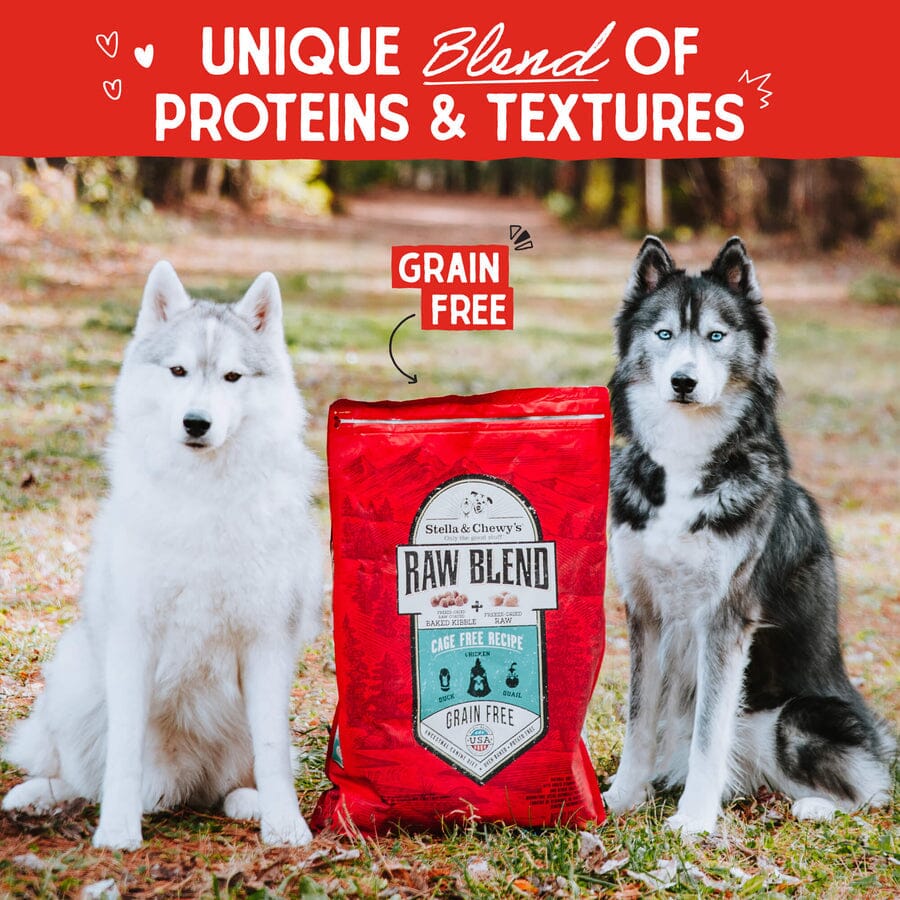 Stella & Chewy's Raw Blend Cage-Free Dry Dog Food - 10 lbs