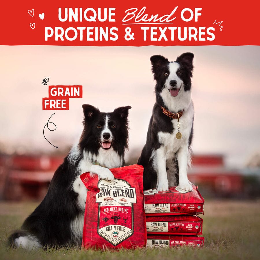 Stella & Chewy's Raw Blend Wholesome Red Meat Dry Dog Food - 22 lbs
