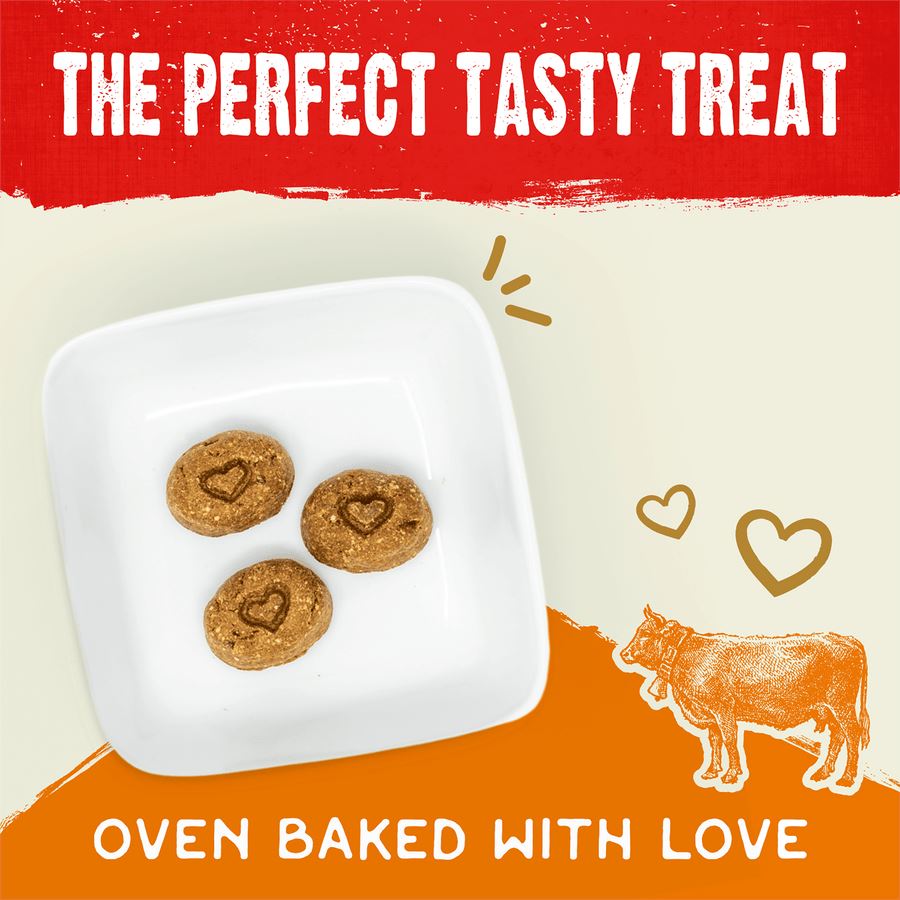 Stella & Chewy's Raw Coated Biscuits Beef Dog Biscuits - 9 Oz