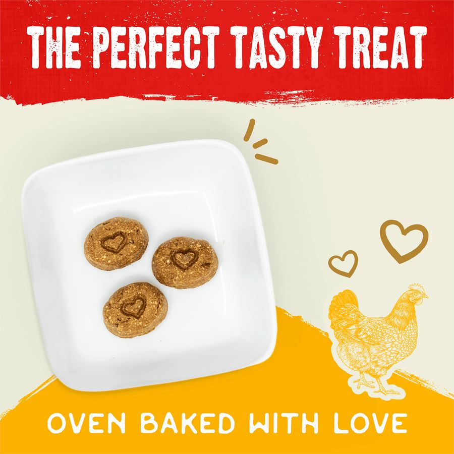 Stella & Chewy's Raw Coated Biscuits Chicken Dog Biscuits - 9 Oz