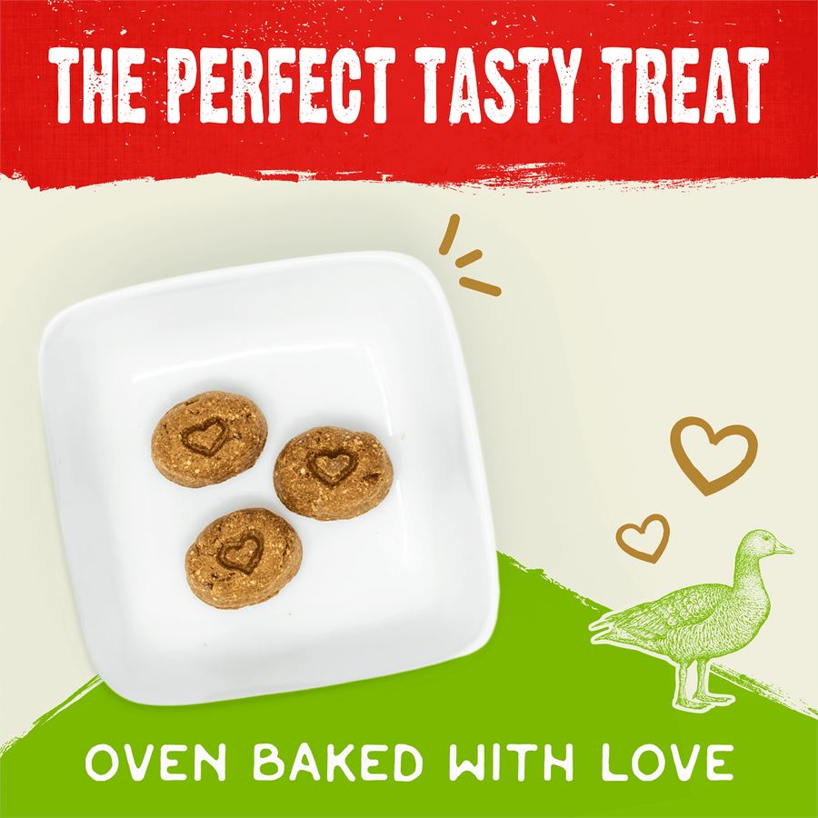Stella & Chewy's Raw Coated Biscuits Duck Dog Biscuits - 9 Oz