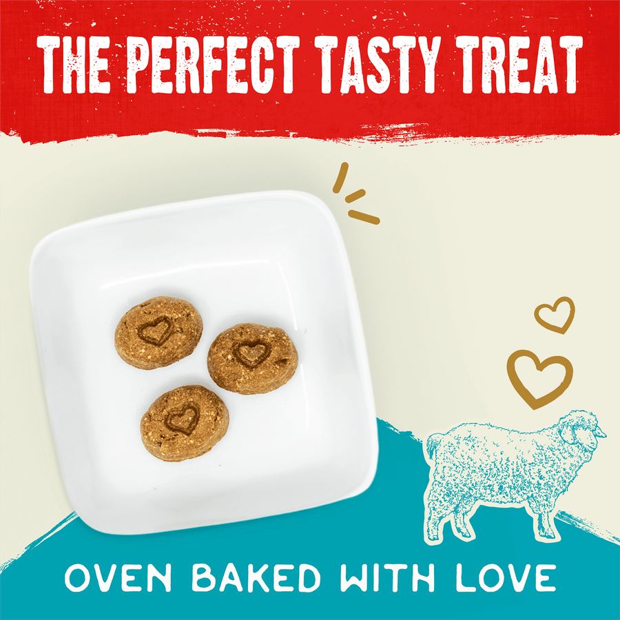 Stella & Chewy's Raw Coated Biscuits Lamb Dog Biscuits - 9 Oz