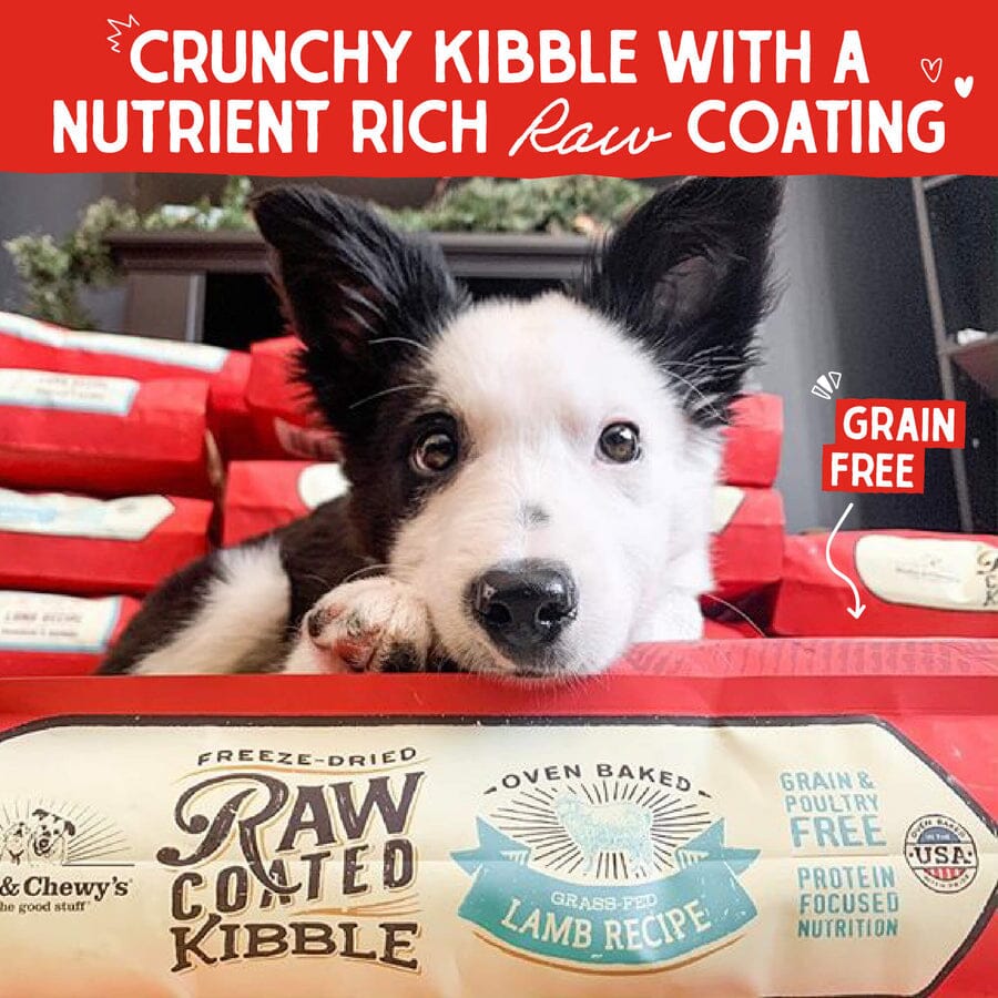 Stella & Chewy's Raw Coated Lamb Dry Dog Food - 22 lbs