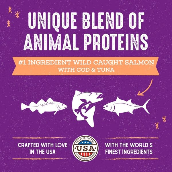 Stella & Chewy's Wild Caught Raw Cat Blend Dry Cat Food- 5 lbs