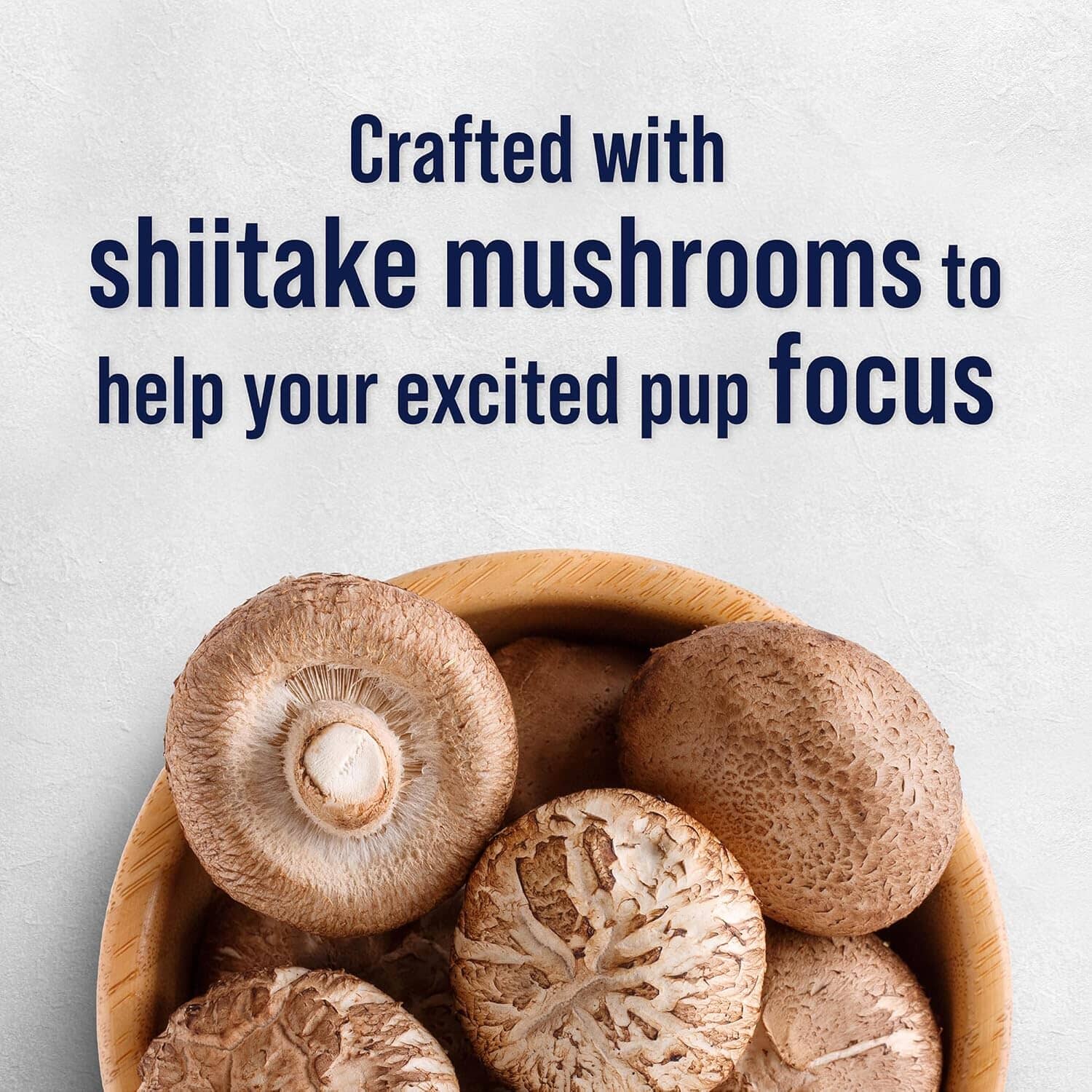 Stewart Focus Grain-Free Cognitive Health Salmon and Vegetable with Shitake Mushroom Freeze-Dried Dog Treats - 4 Oz 