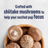 Stewart Focus Grain-Free Cognitive Health Salmon and Vegetable with Shitake Mushroom Freeze-Dried Dog Treats - 4 Oz 