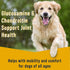 Stewart Healthy Hips Beef Sweet Potato with Glucosamine Freeze-Dried Dog Food Topper or Treats