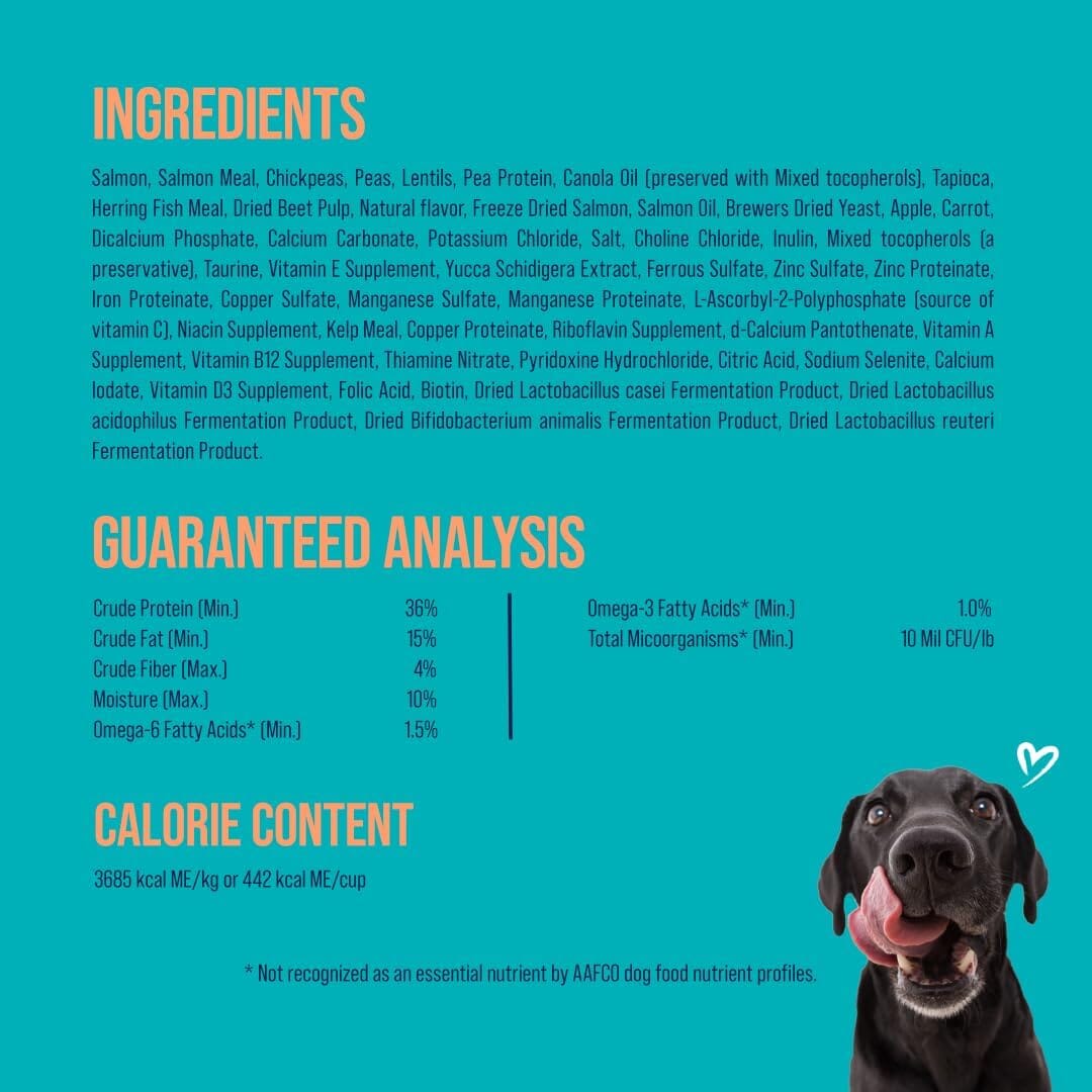 Stewart Raw Coated Small-Batch Salmon and Vegetable Freeze-Dried Raw Coated Puppy Formula Dry Dog Food