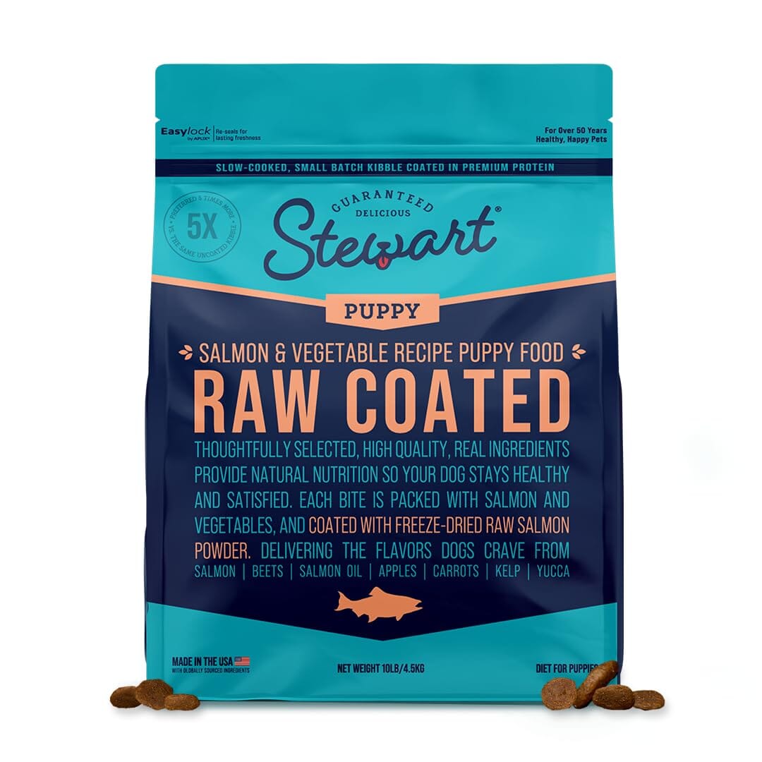 Stewart Raw Coated Small-Batch Salmon and Vegetable Freeze-Dried Raw Coated Puppy Formula Dry Dog Food 10 Pounds