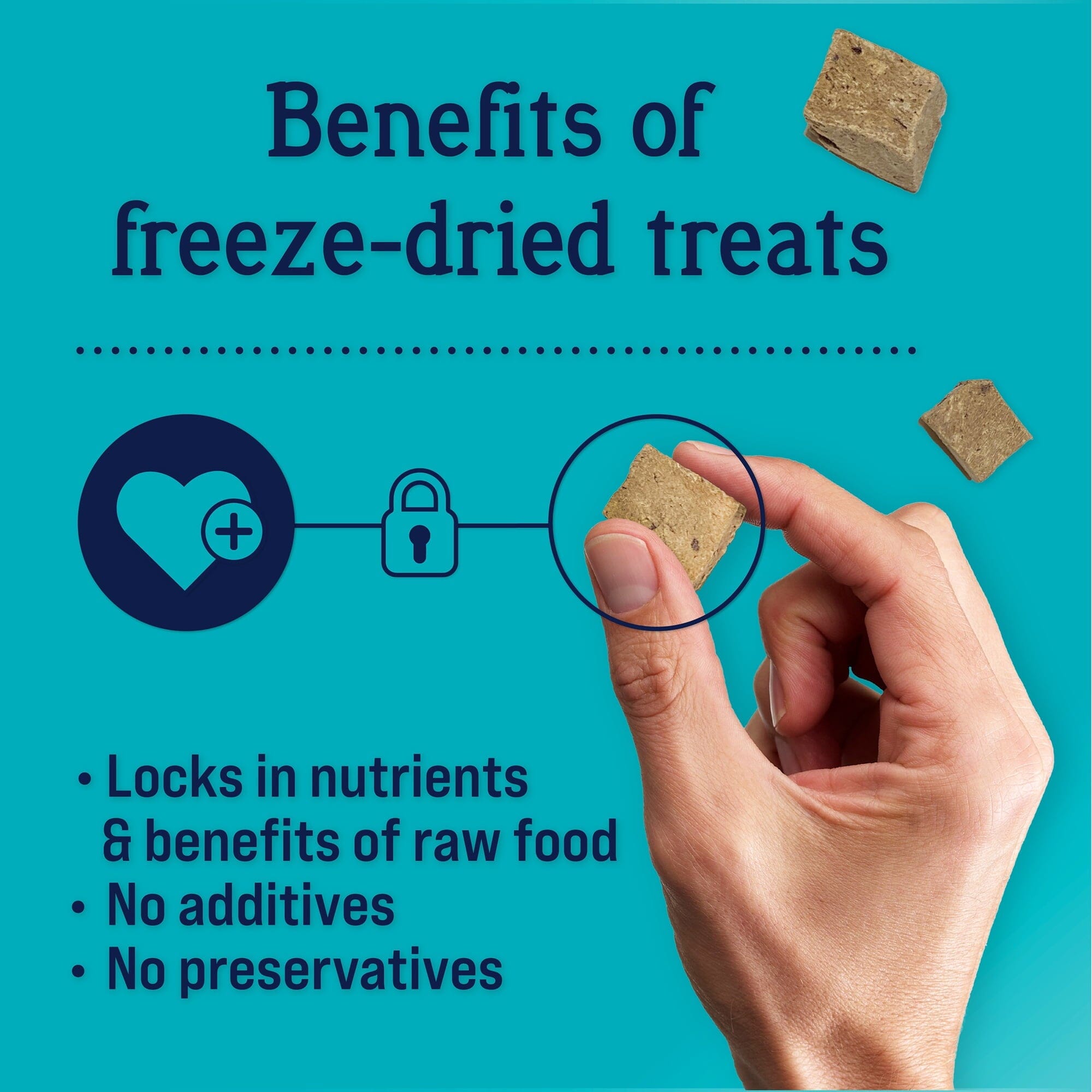 Stewart Single Ingredient Grain-Free High-Protein Beef Liver Freeze-Dried Dog Treats or Food Topper - 4 Oz