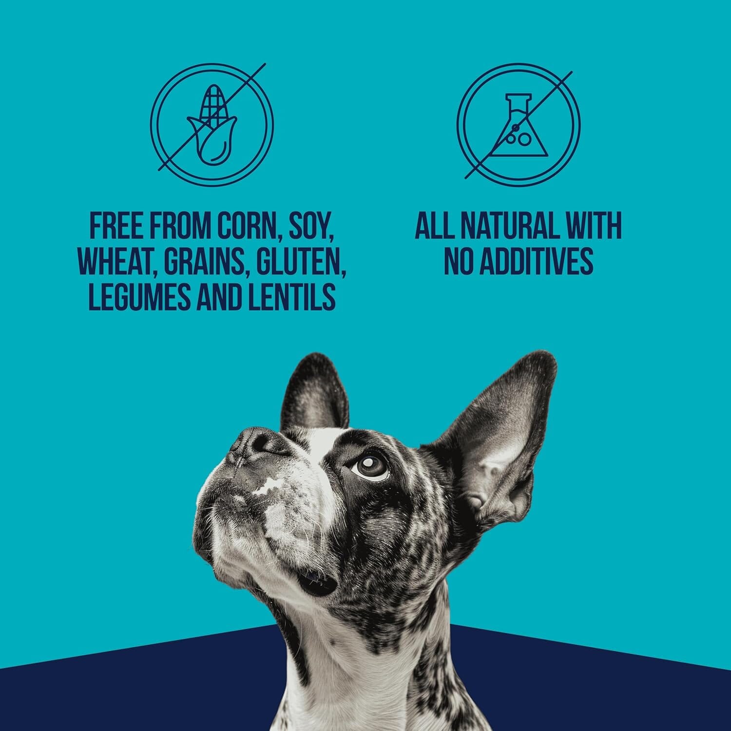 Stewart Single Ingredient Grain-Free High-Protein Chicken Liver Freeze-Dried Dog Treats or Food Topper - 2.75 Oz