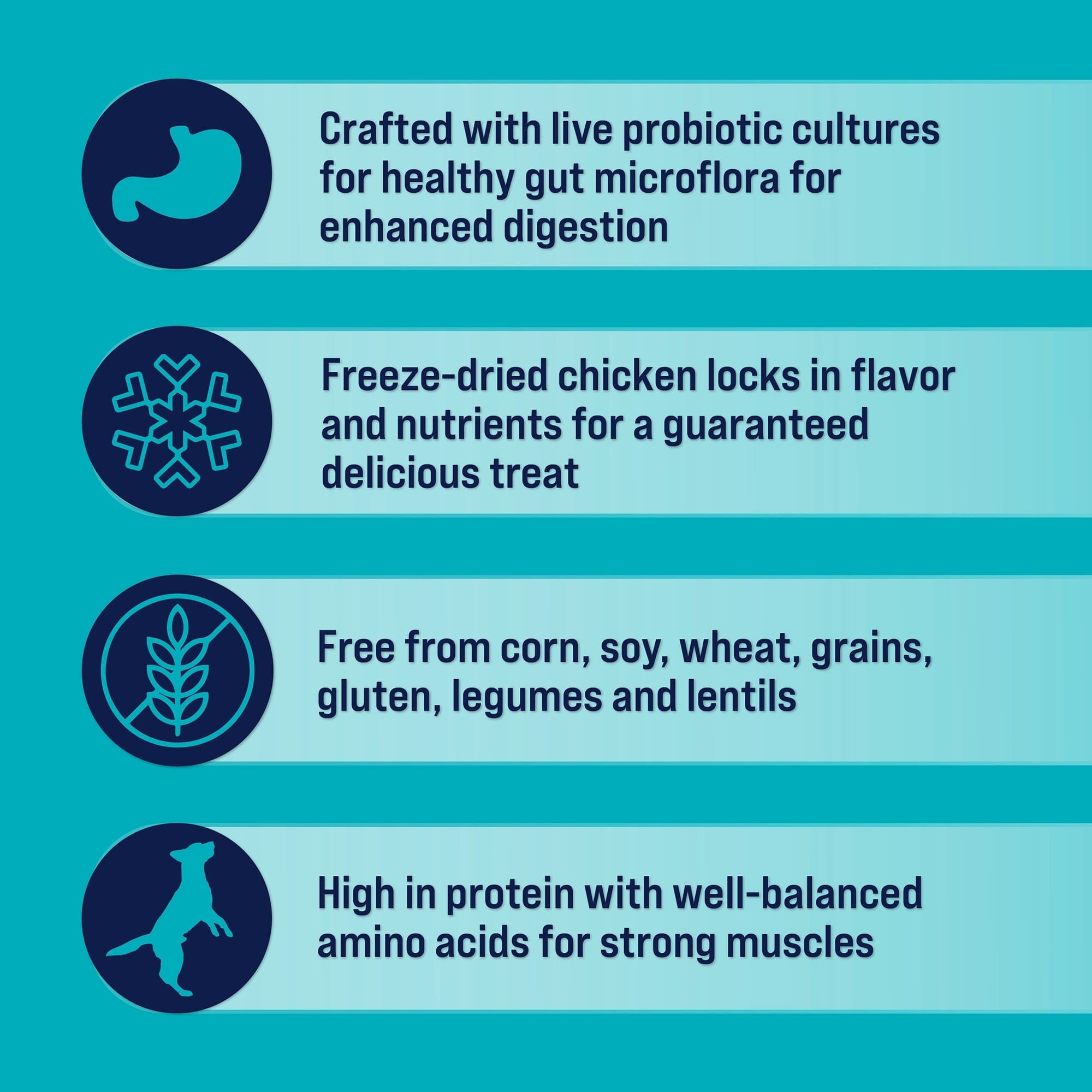 Stewart Single Ingredient High-Protein Chicken Breast Freeze-Dried Dog Treats or Food Topper - 3 Oz