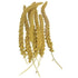 Sunseed Golden Millet Spray Canary Finch and Parakeet Natural Bird Treats - 25 Lbs Default Title