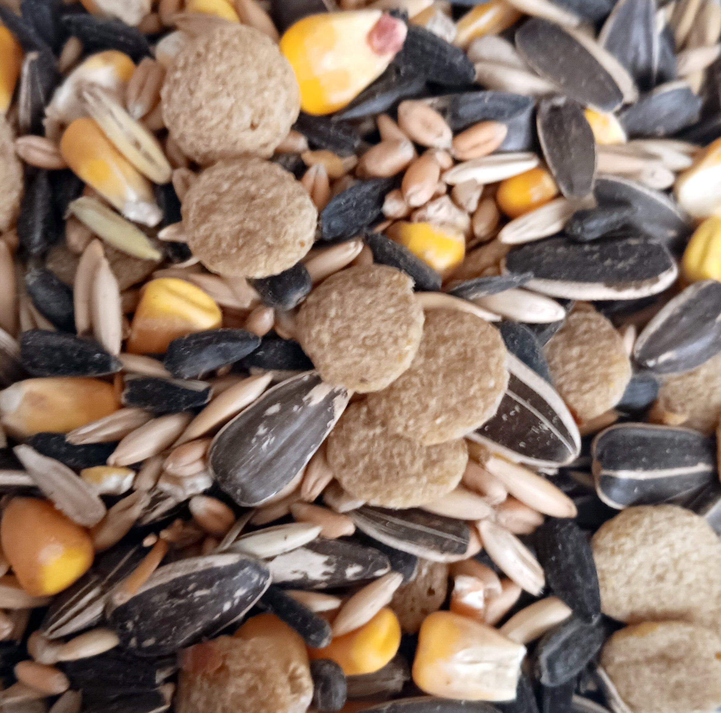 Sunseed Parrot Mix - 25 lb