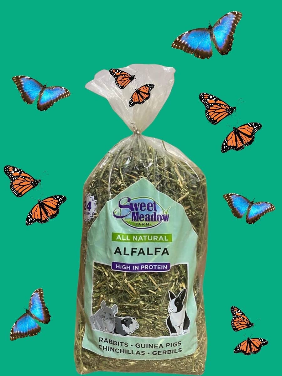 Sweet Meadow All-Natural Alfalfa Hay for Small Animals - 20 Oz  