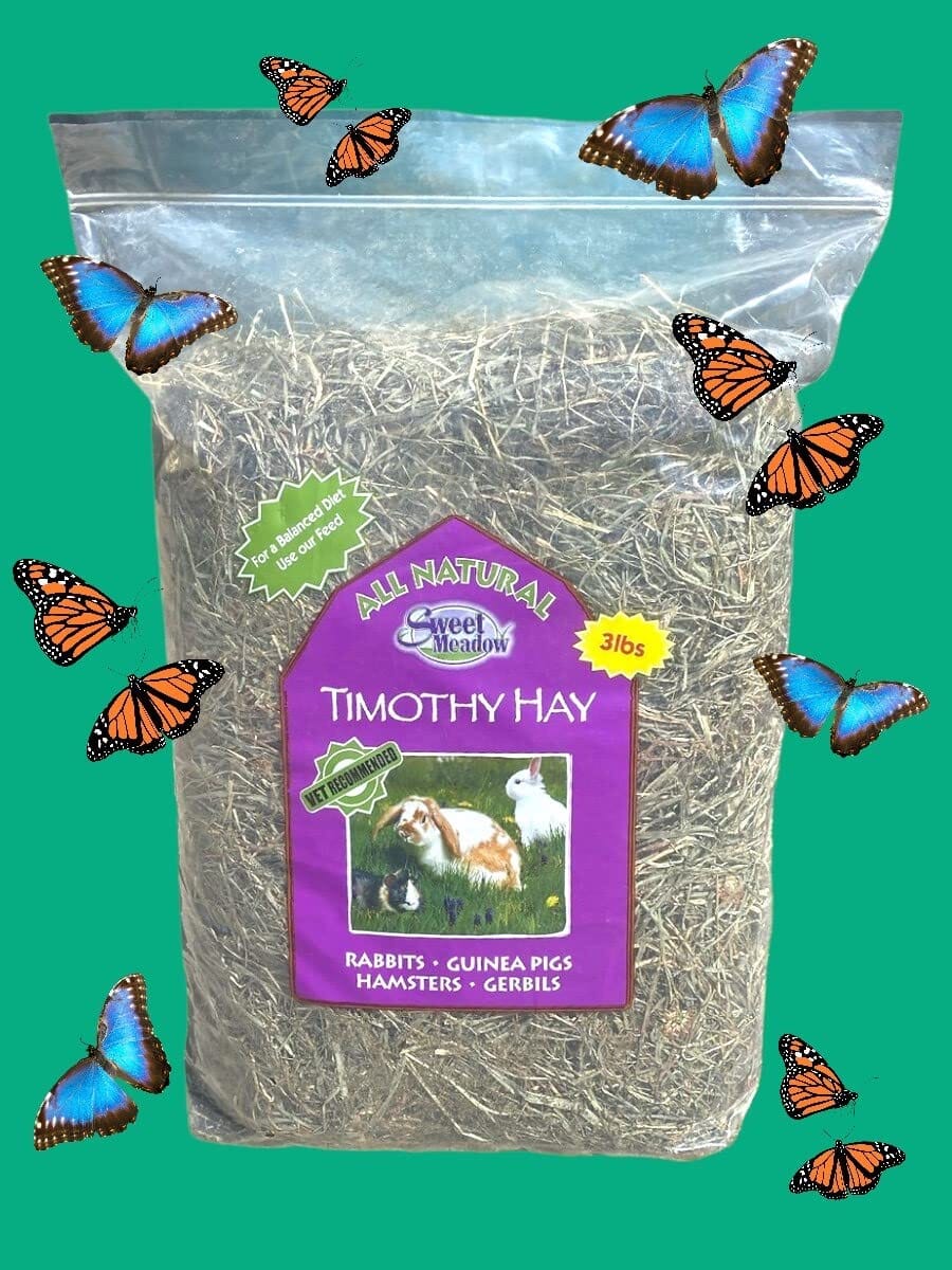 Sweet Meadow All-Natural Timothy Hay for Small Animals  