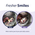 Synergy Labs Dental Fresh Advanced Plaque and Tartar Control Oral Health Cat and Dog Water Additive