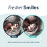 Synergy Labs Dental Fresh Original Formula Breath and Gum Enhancing and Teeth Whitening Cat and Dog Oral Spray - 4 Oz