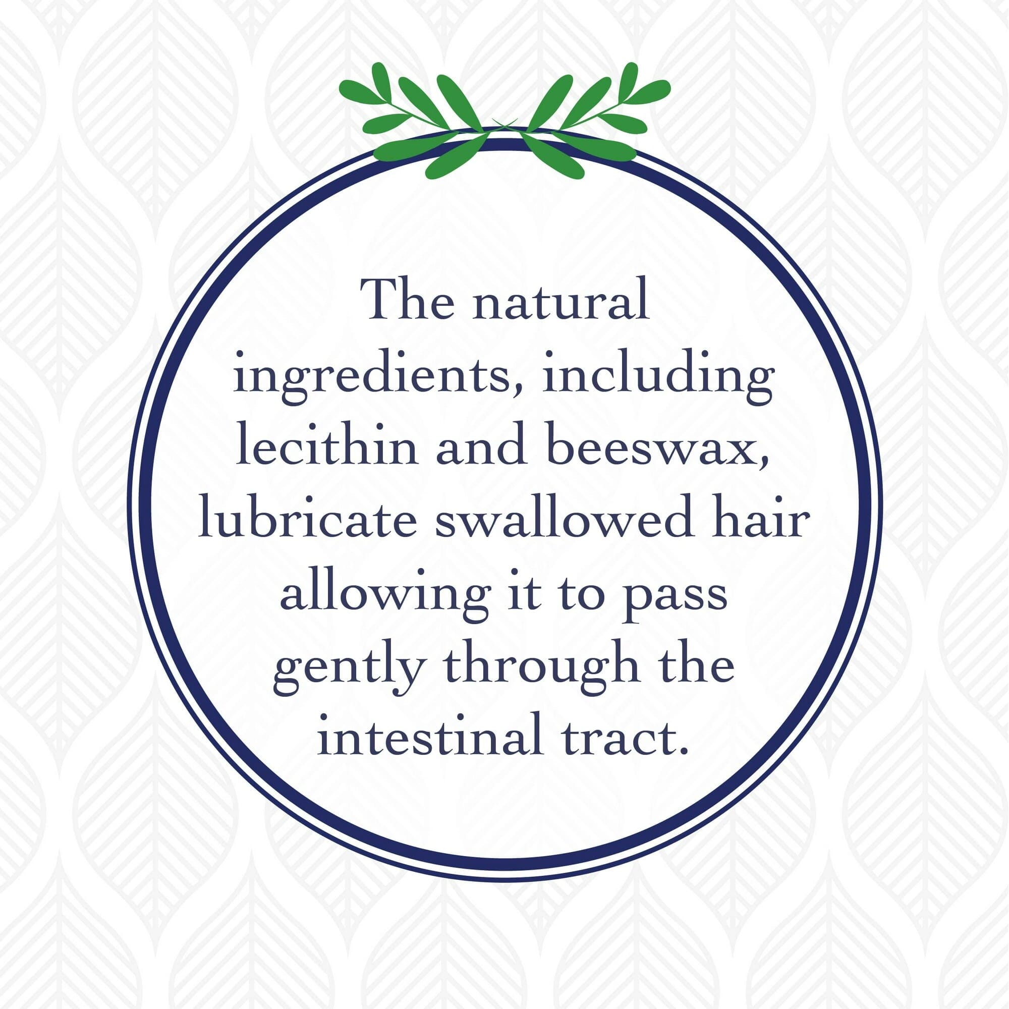 Synergy Labs Richard's Organics Hairball Lubricating Remedy Tuna Flavored Nutrient Paste First-Aid Cat Remedy - 4.25 Oz