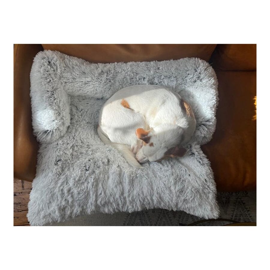 Tall Tails Anywhere Cuddler Couch Cat and Dog Bed - L:34 X W:34 Inch