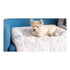 Tall Tails Anywhere Cuddler Couch Cat and Dog Bed - L:34 X W:34 Inch