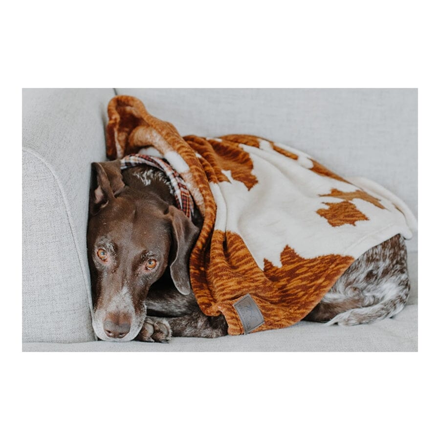 Tall Tails Blanket Cowhide Print Fleece Dog Blanket - Large - L:40 X W:30 Inch