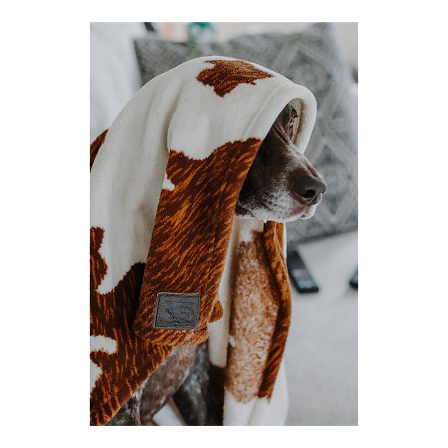 Tall Tails Blanket Cowhide Print Fleece Dog Blanket - Large - L:40 X W:30 Inch