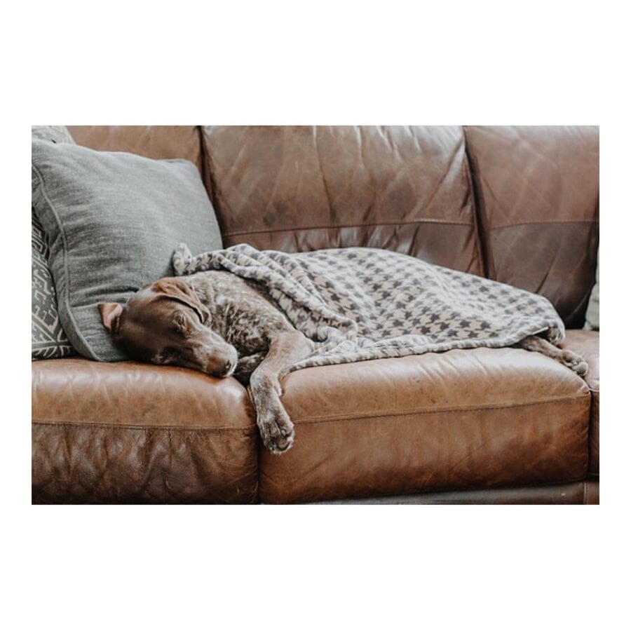 Tall Tails Blanket Houndstooth Print Fleece Dog Blanket