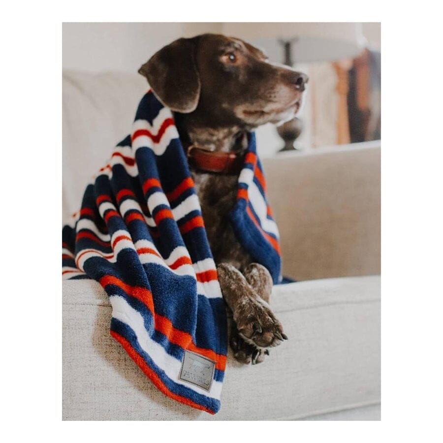 Tall Tails Blanket Nautical Stripe Pattern Fleece Dog Blanket - Large - L:40 X W:30 Inch