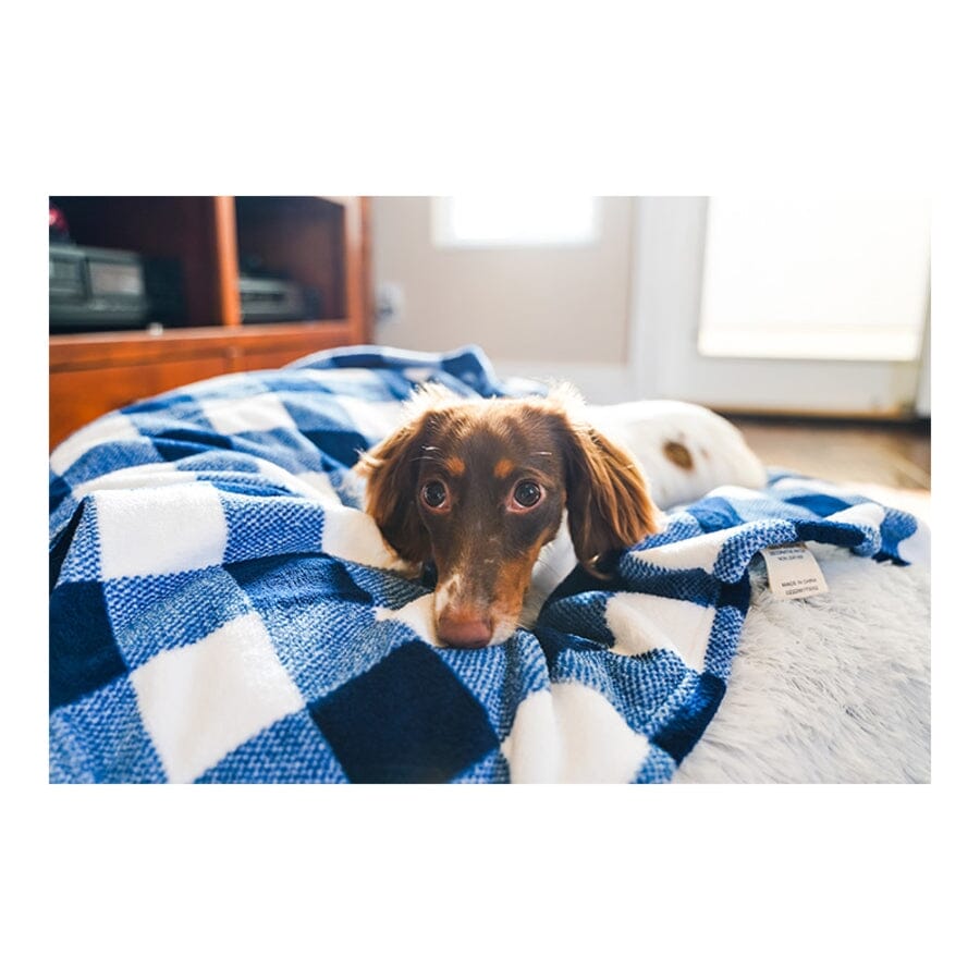 Tall Tails Blanket Navy Plaid Pattern Fleece Dog Blanket - Large - L:40 X W:30 Inch