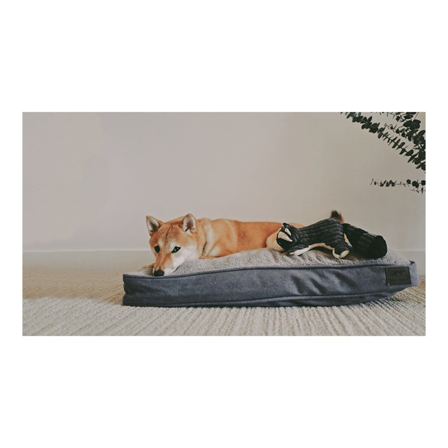 Tall Tails Dream Chaser Cushion Rectangular Cat and Dog Bed