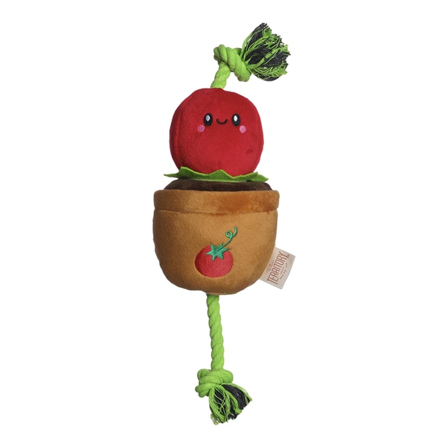 Territory Tomato Plant Treat-and-Tug Interactive Rope and Plush Dog Toy - 15 Inches