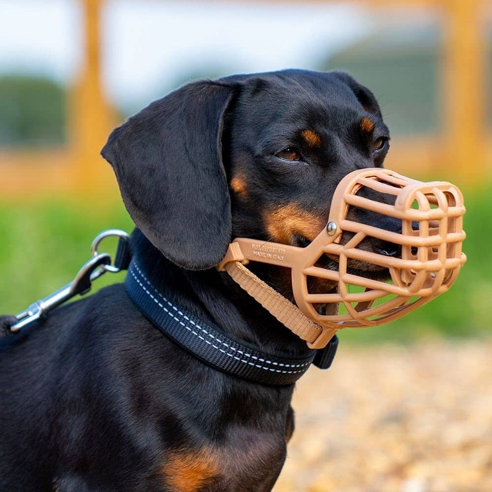 The Company of Animals Baskerville Ultra Muzzle - Black - Size 3 - L:3