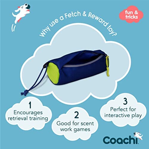 The Company of Animals Coachi Fetch and Reward Treat Inserting Interactive Nylon Dog Toy