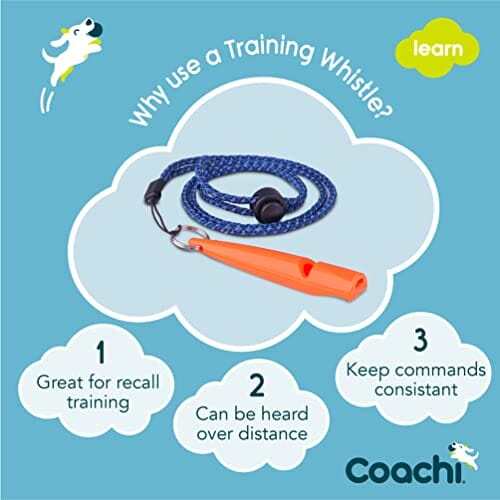 The Company of Animals Coachi Training Dog Whistle - Coral