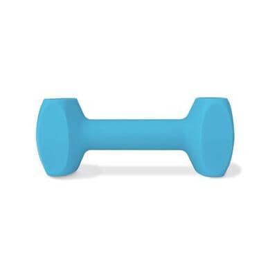 The Company of Animals Coachi Training Dumbbell Fetch and Chew Floating Dog Toy Large