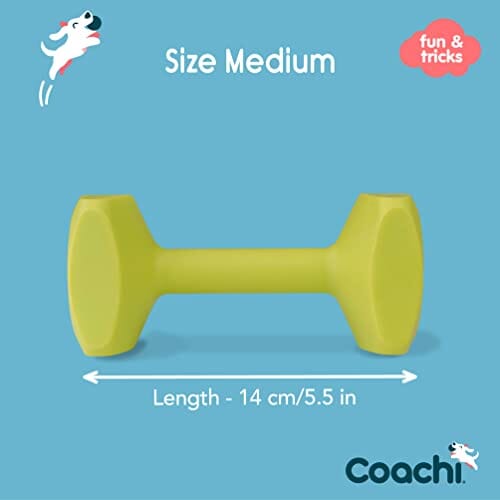 The Company of Animals Coachi Training Dumbbell Fetch and Chew Floating Dog Toy