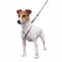 The Company of Animals Coachi Training Line Dog Leash - 2.5 Meters or 8.2 Feet Default Title