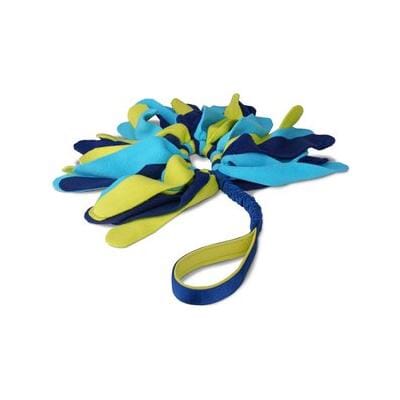 The Company of Animals Coachi Tuggi Spider Tug-of-War Bungee Tug Interactive Dog Toy - Blue/Lime Default Title