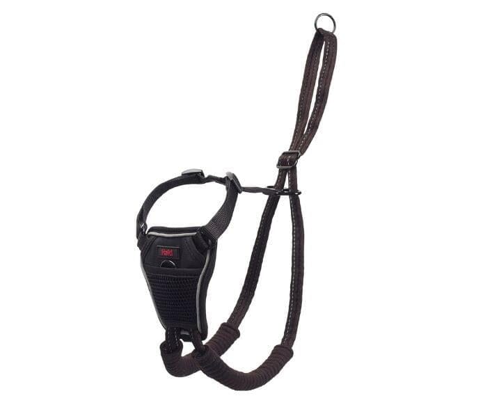 The Company of Animals Halti No Pull Dog Harness - Large  