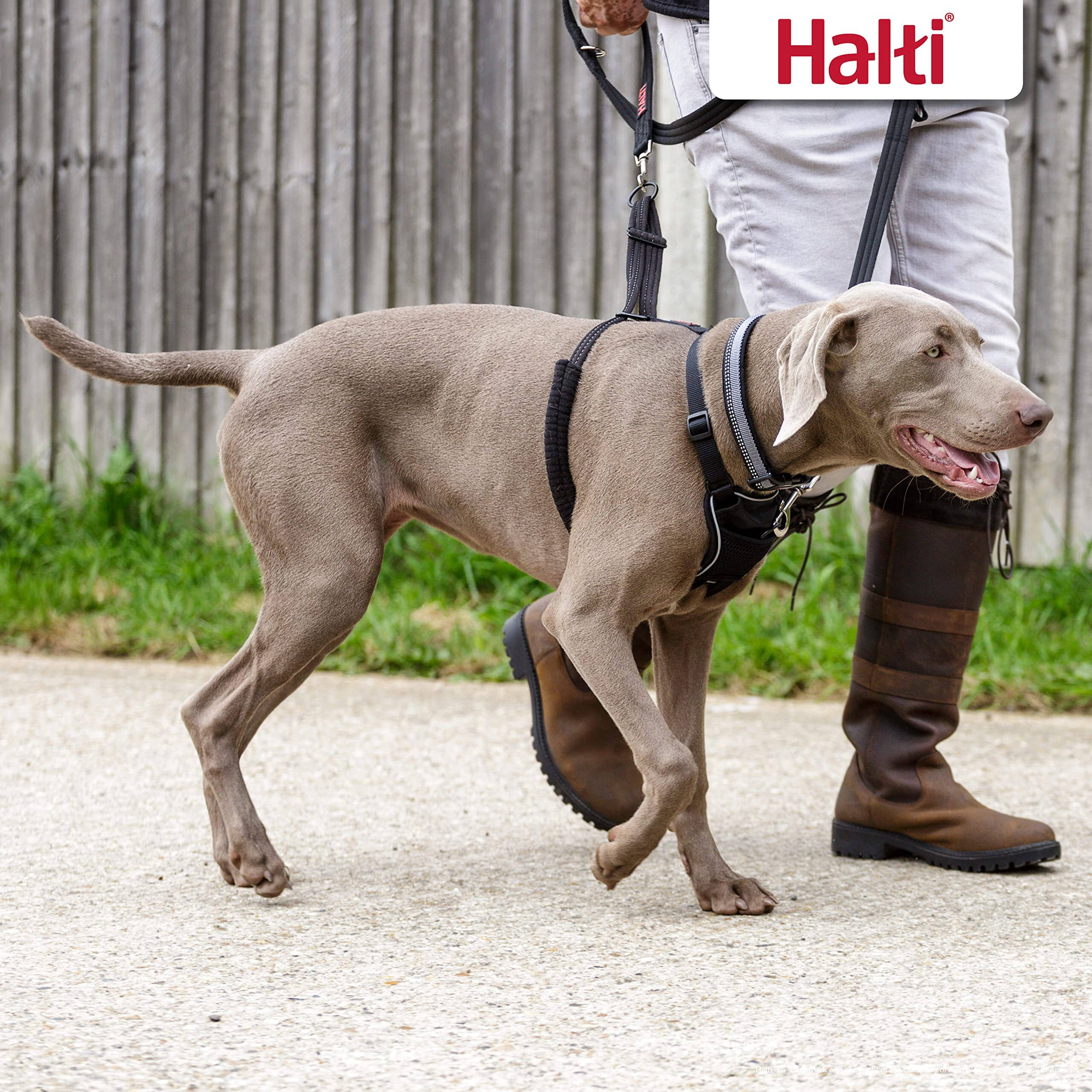 The Company of Animals Halti No Pull Dog Harness - Medium  