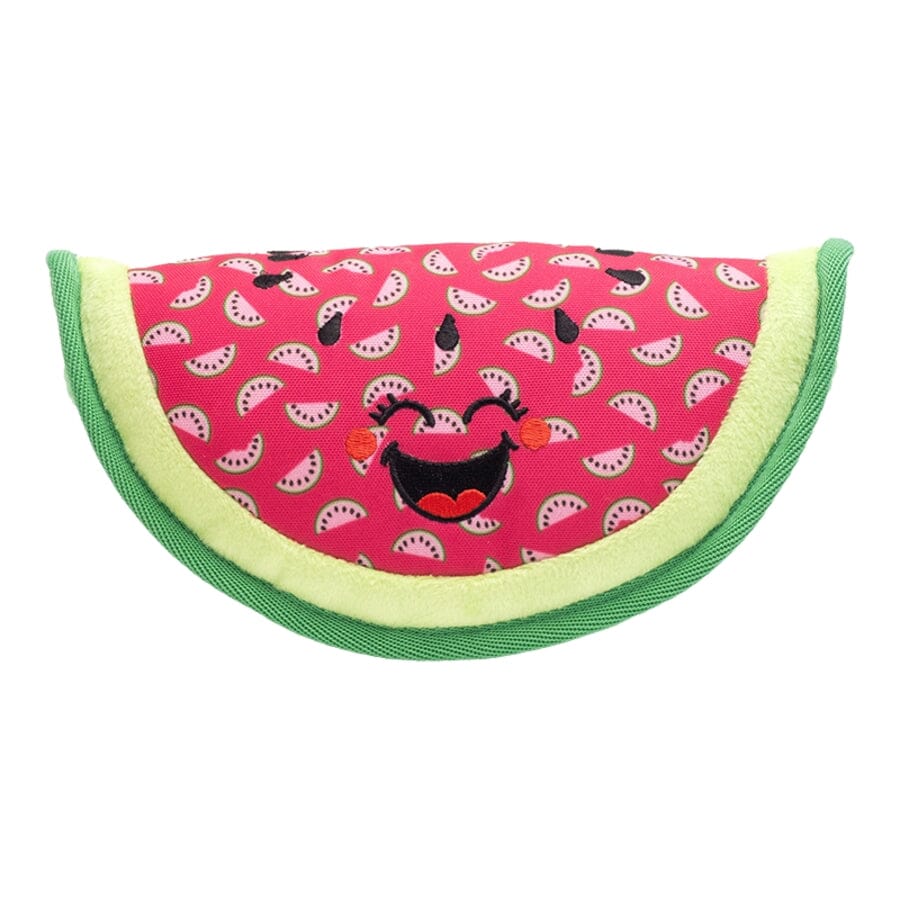 The Worthy Dog Watermelon Patterned Squeak Nylon and Plush Dog Toy