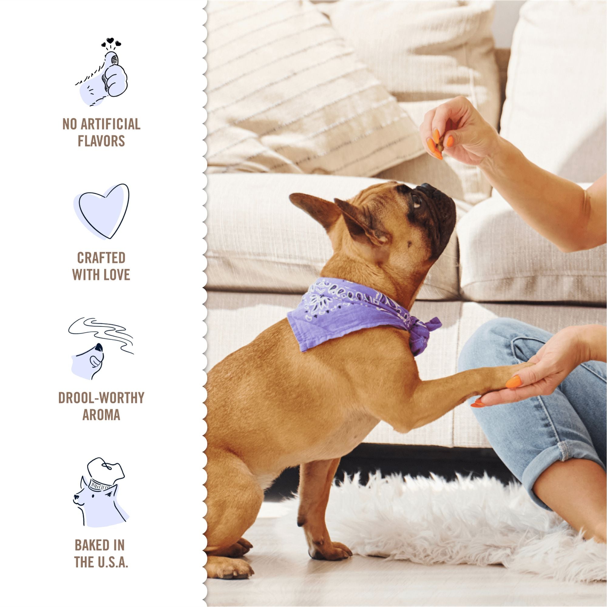 Three Dog Bakery Peanut Mutt'er Bites Peanut Butter and Carob Cookies Soft Baked Dog Treats - 18 Oz - Case of 4