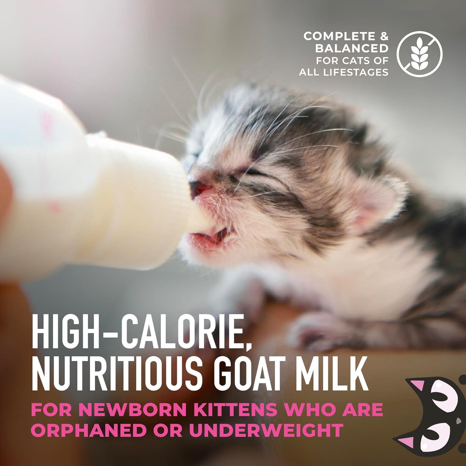 Tiki Cat Baby Milk Replacer with Goats Milk Liquid Kitten Cat Food Supplement Pouch - 6 Oz - Case of 6
