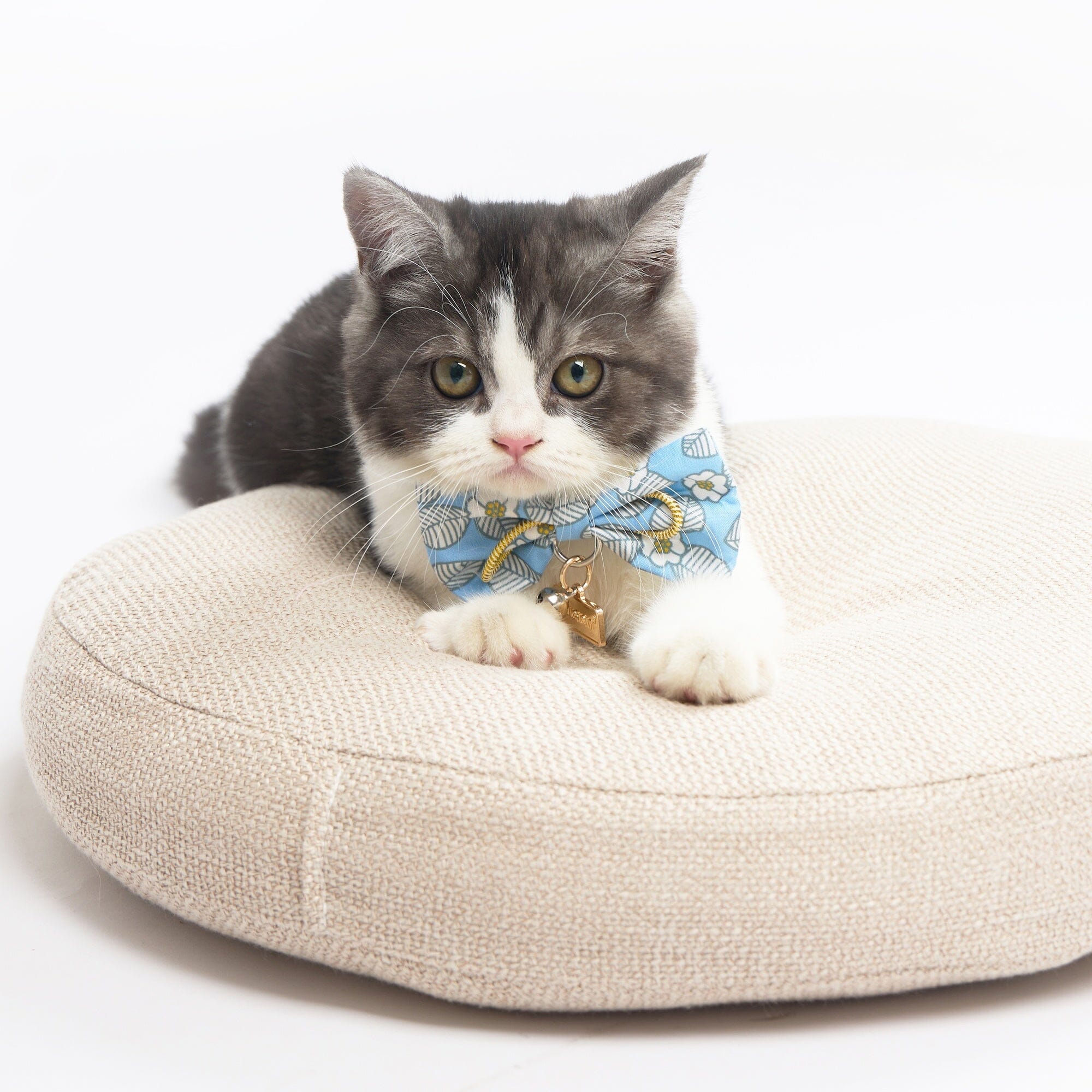 Touchcat ® Floral Patterned Designer Cat Collar with Bow - Blue - Small
