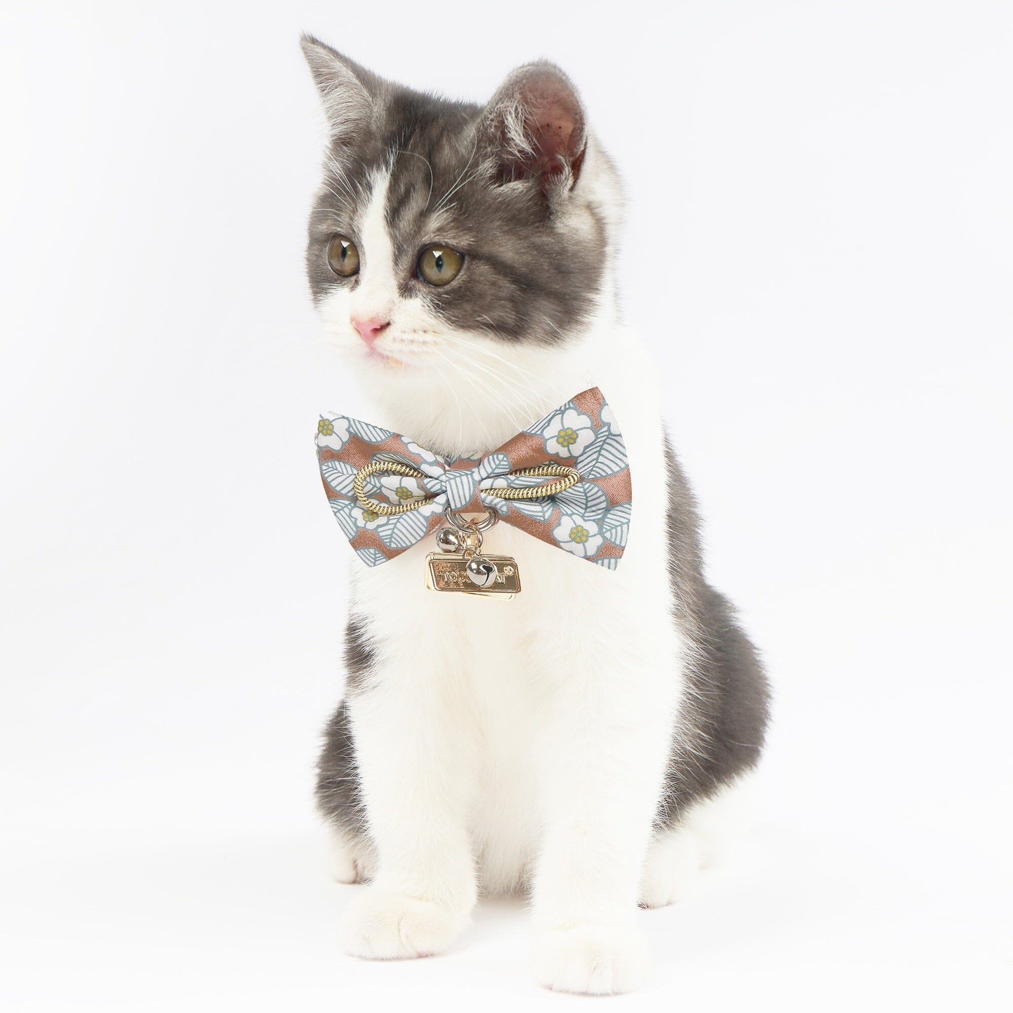 Touchcat ® Floral Patterned Designer Cat Collar with Bow - Brown - Large