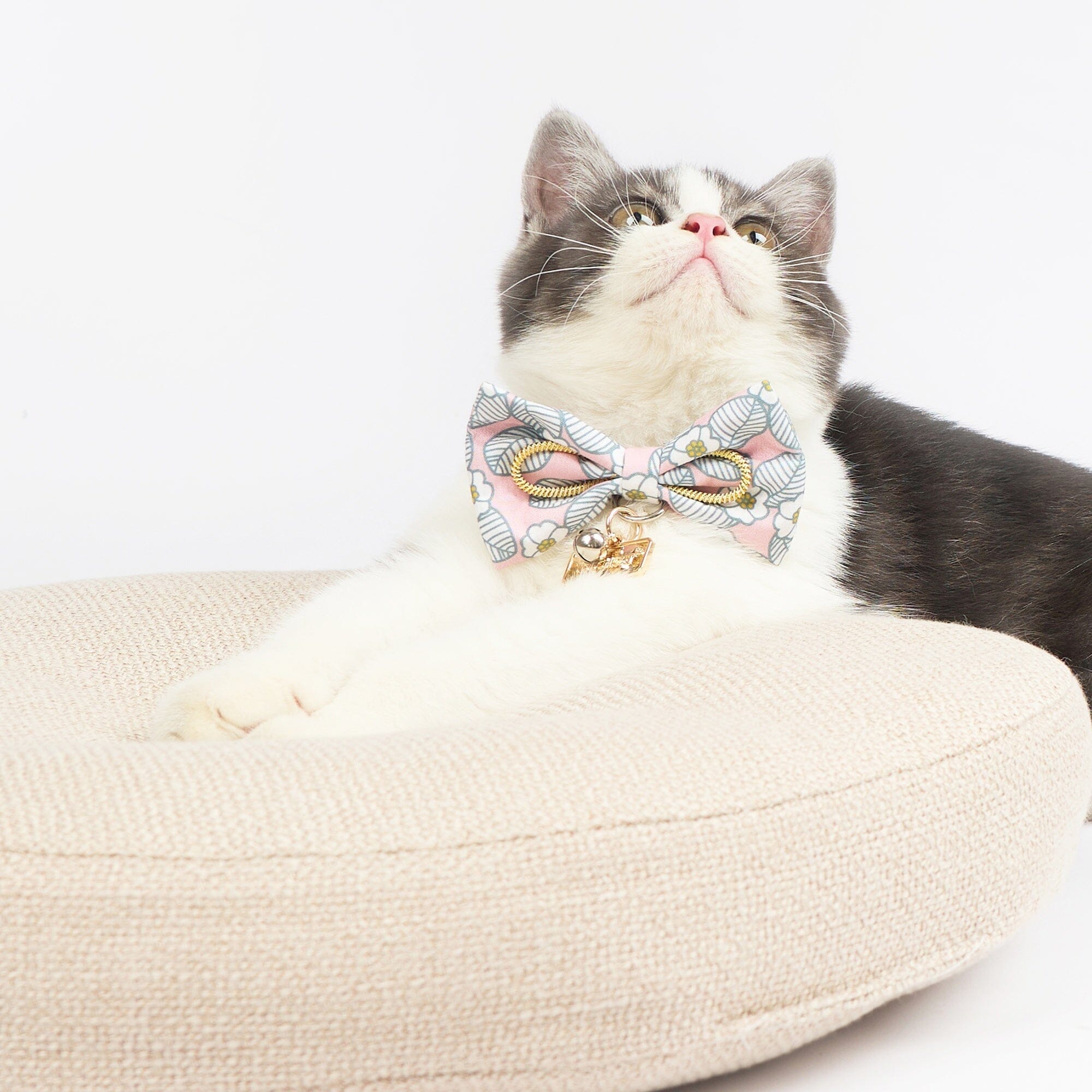 Touchcat ® Floral Patterned Designer Cat Collar with Bow - Pink - Large