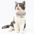 Touchcat ® Floral Patterned Designer Cat Collar with Bow - Pink - Small Pink Small