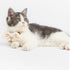 Touchcat ® Pineapple Patterned Designer Cat Collar with Bow