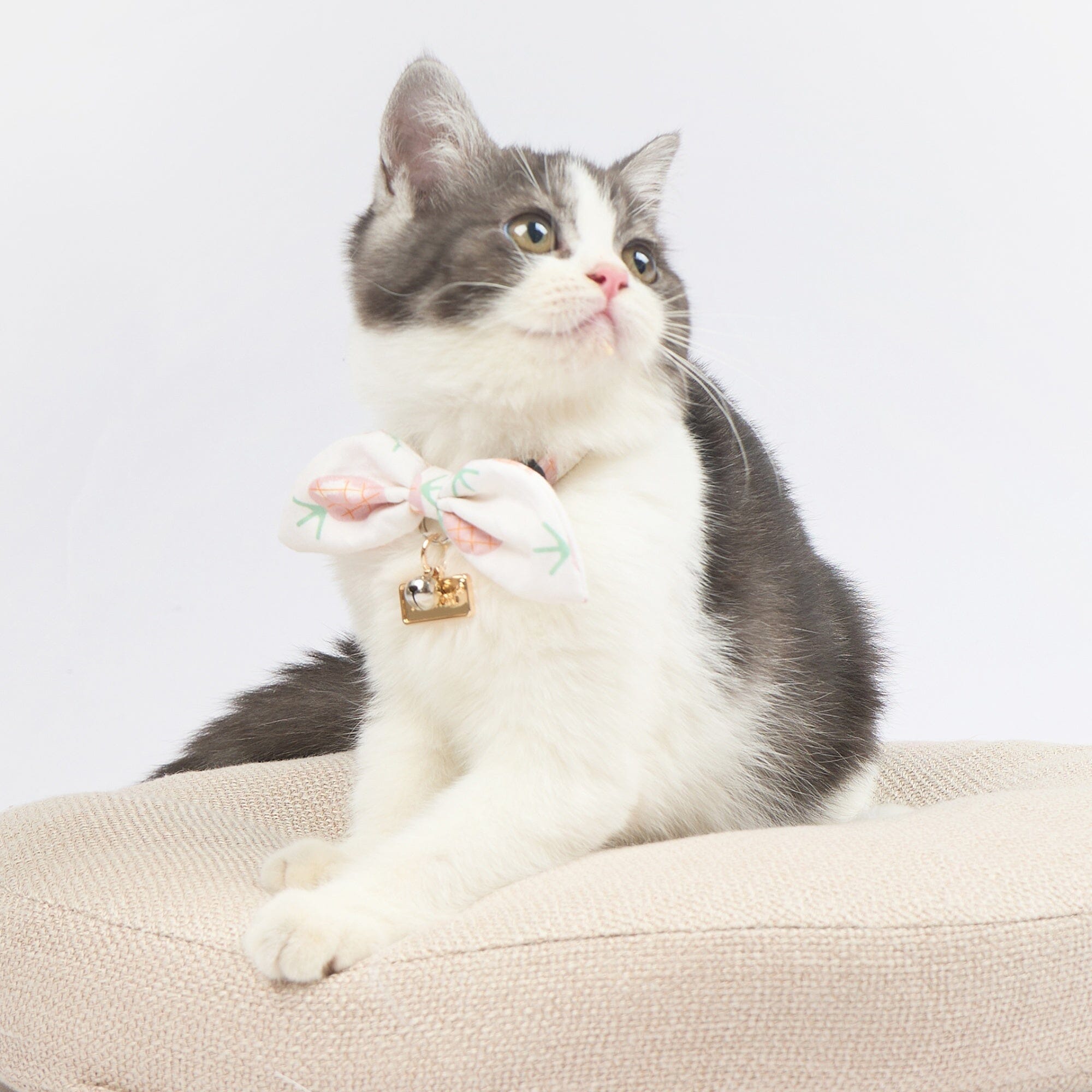 Touchcat ® Pineapple Patterned Designer Cat Collar with Bow